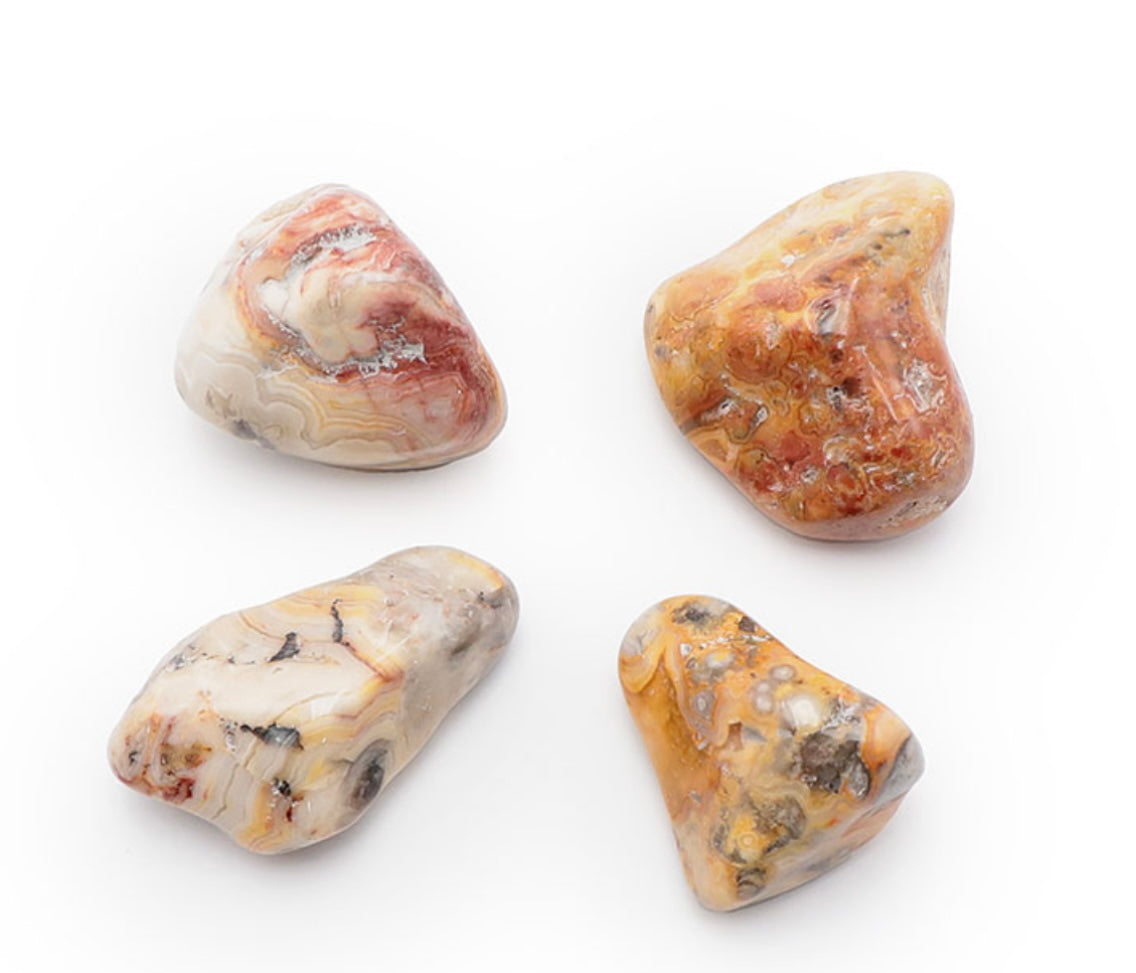 Pierre Roulée Agate Crazy Lace XL Qualité AB 40 A 60MM