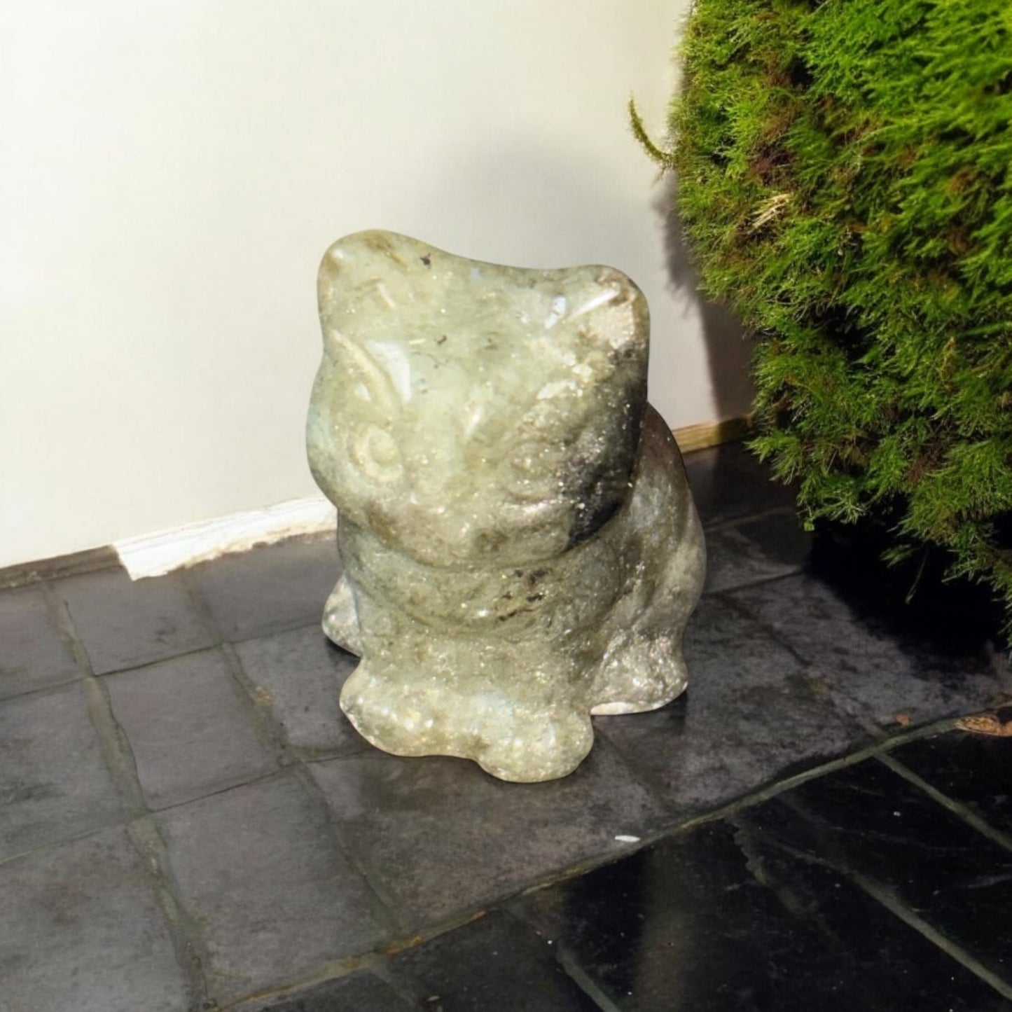 Chat 30mm