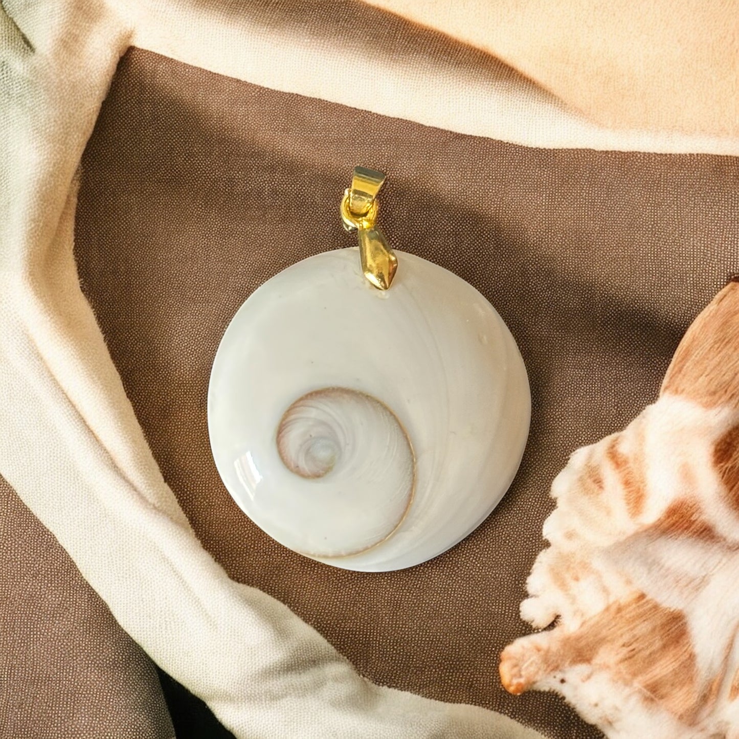 Œil de Sainte Lucie
