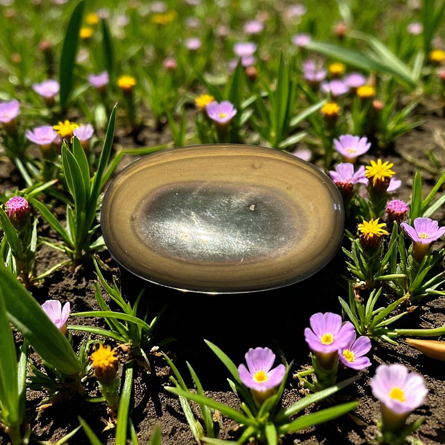Galet Obsidienne Œil Céleste du Méxique qualité AA