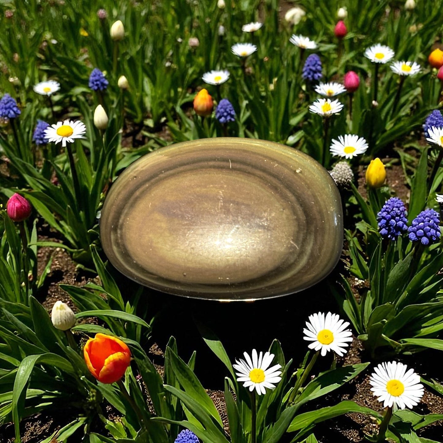 Galet Obsidienne Œil Céleste du Méxique qualité AA