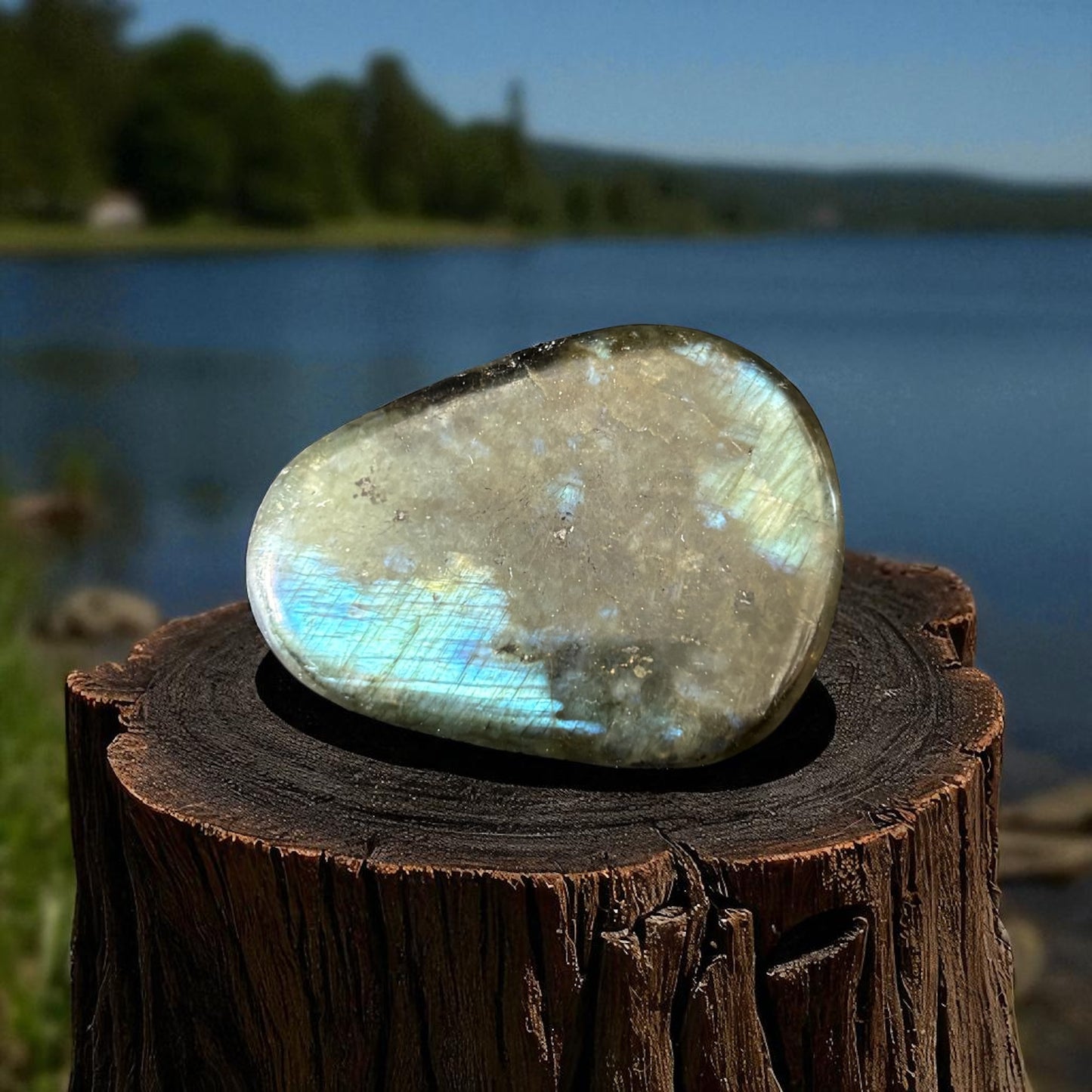 Galet Plat Labradorite de Madagascar qualité AA