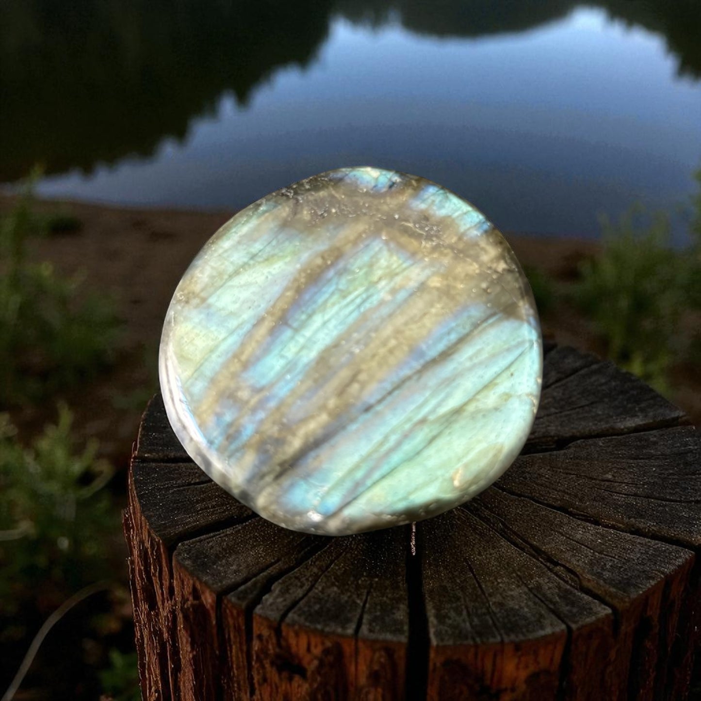 Galet Plat Labradorite de Madagascar qualité AA