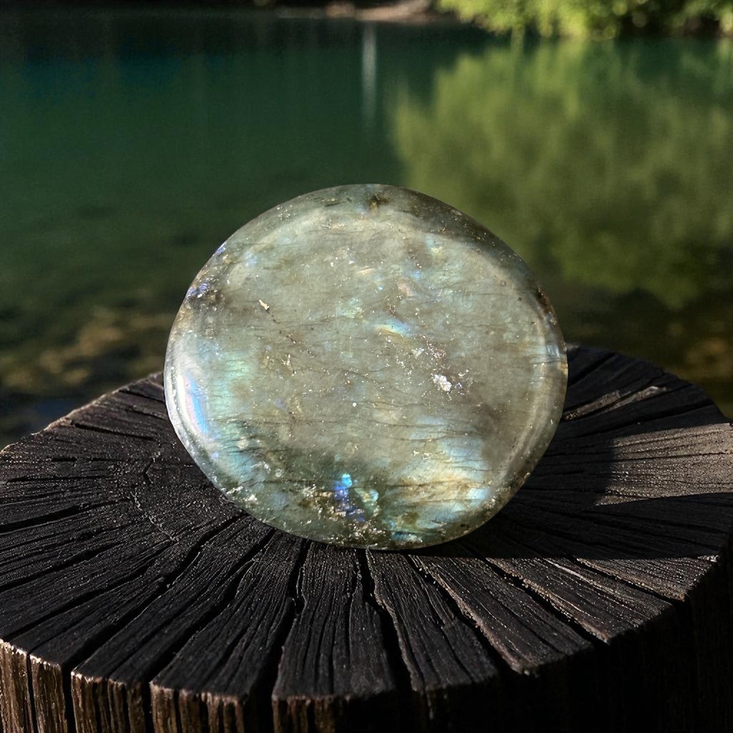Galet Plat Labradorite de Madagascar qualité AA