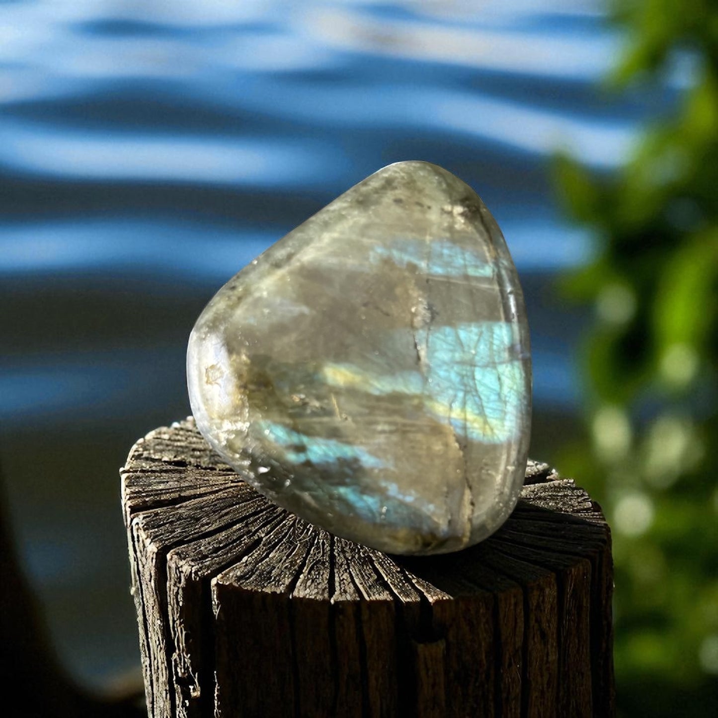 Galet Plat Labradorite de Madagascar qualité AA