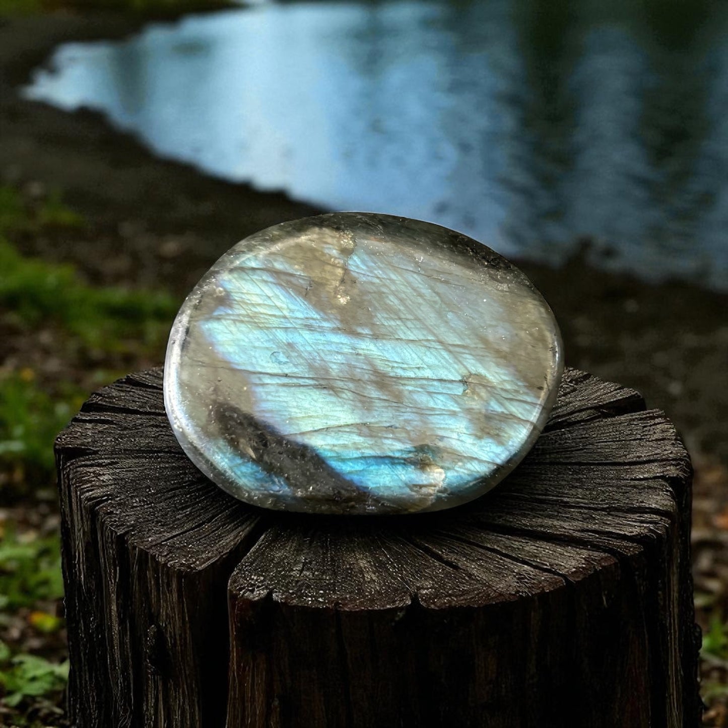 Galet Plat Labradorite de Madagascar qualité AA