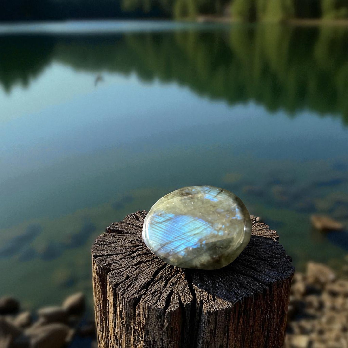 Galet Plat Labradorite de Madagascar qualité AA