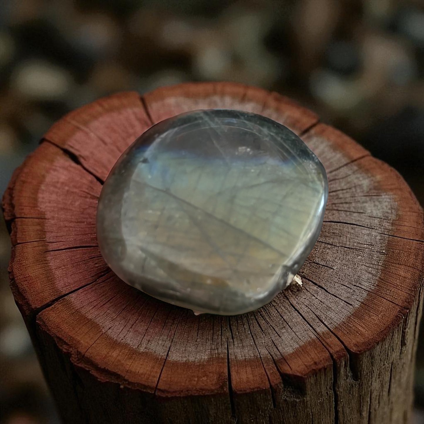 Galet Plat Labradorite de Madagascar qualité AA