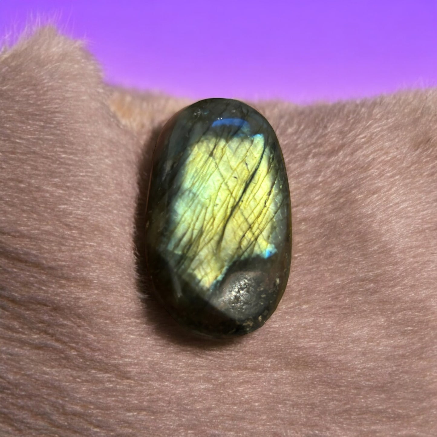 Galets Labradorite