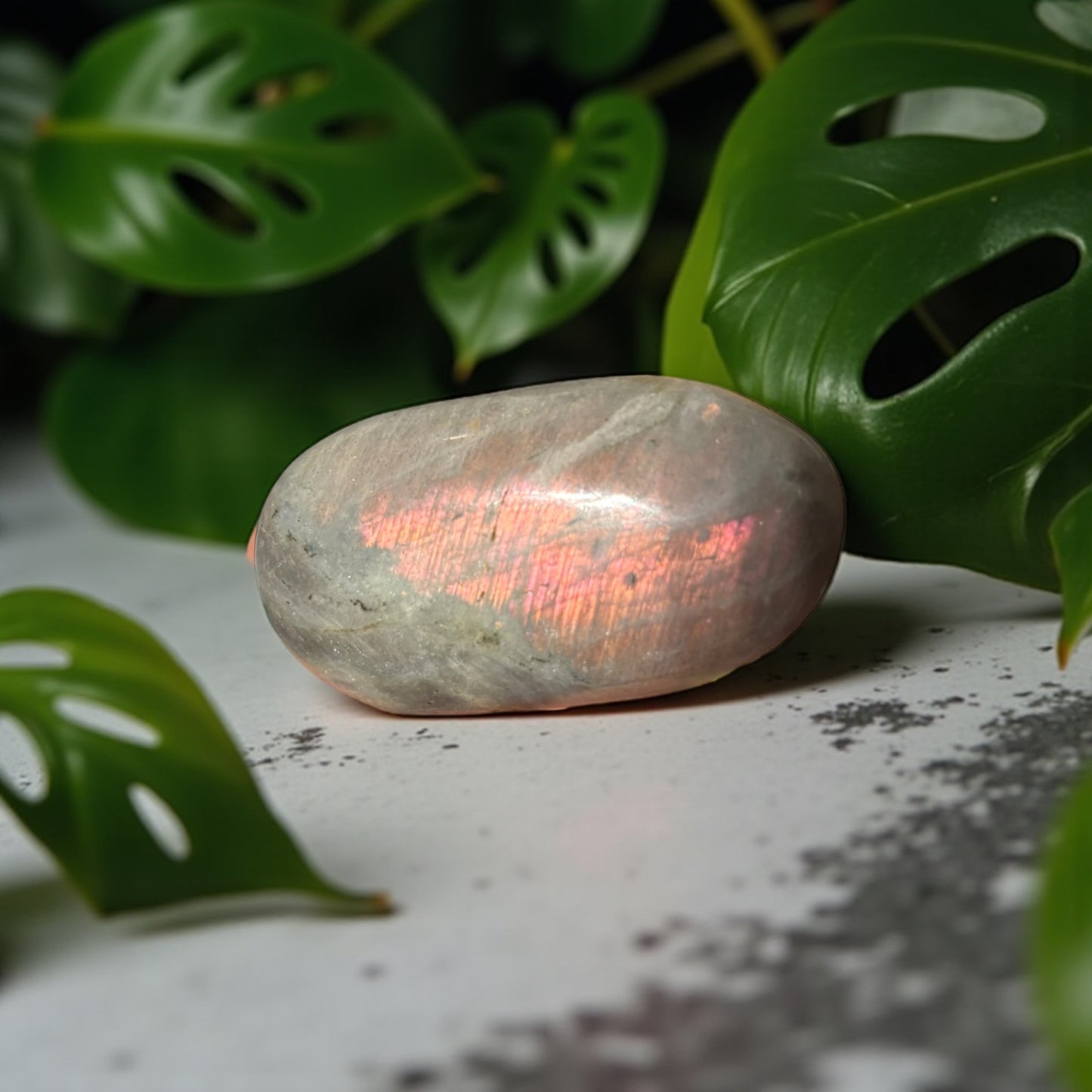 Galet Labradorite Violette de Madagascar qualité A