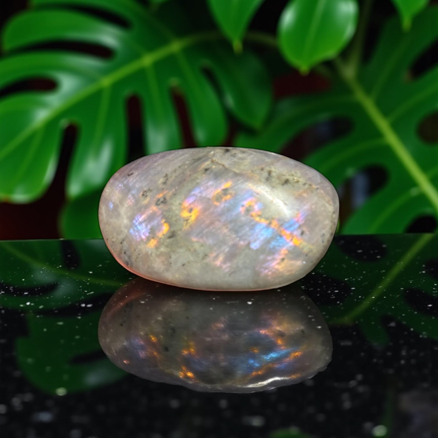 Galet Labradorite Violette de Madagascar qualité A