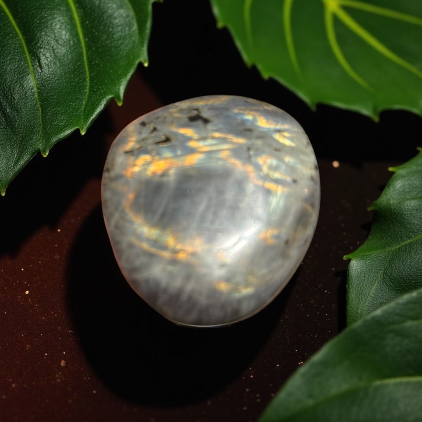 Galet Labradorite Violette de Madagascar qualité A