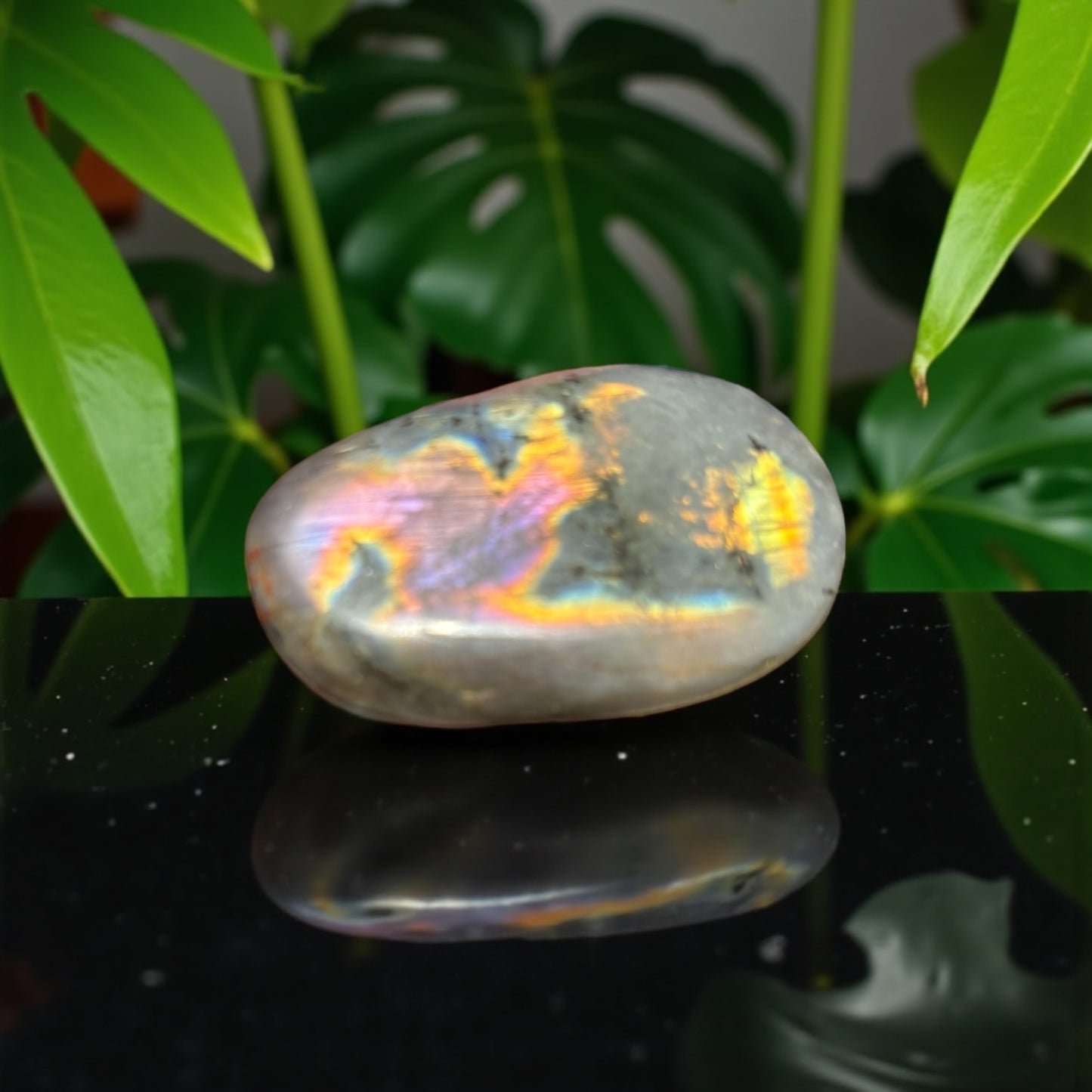 Galet Labradorite Violette de Madagascar qualité A