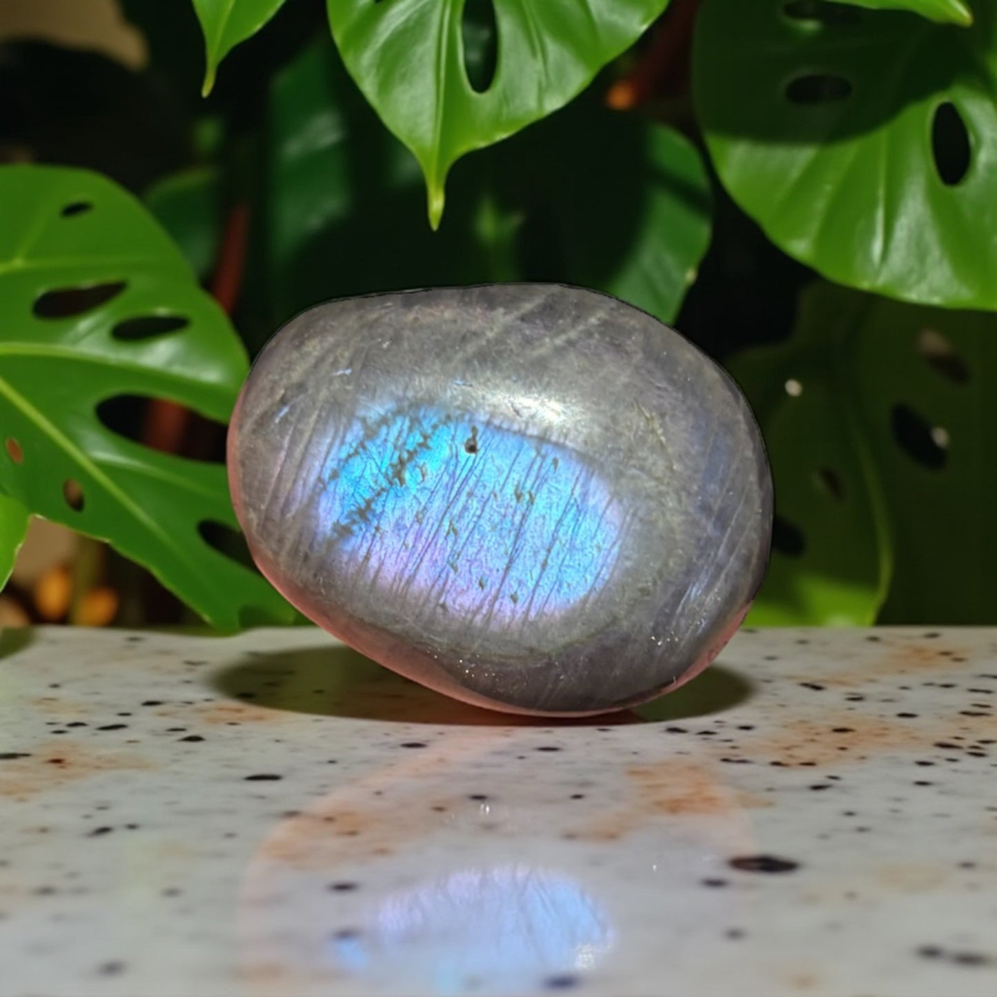Galet Labradorite Violette de Madagascar qualité A