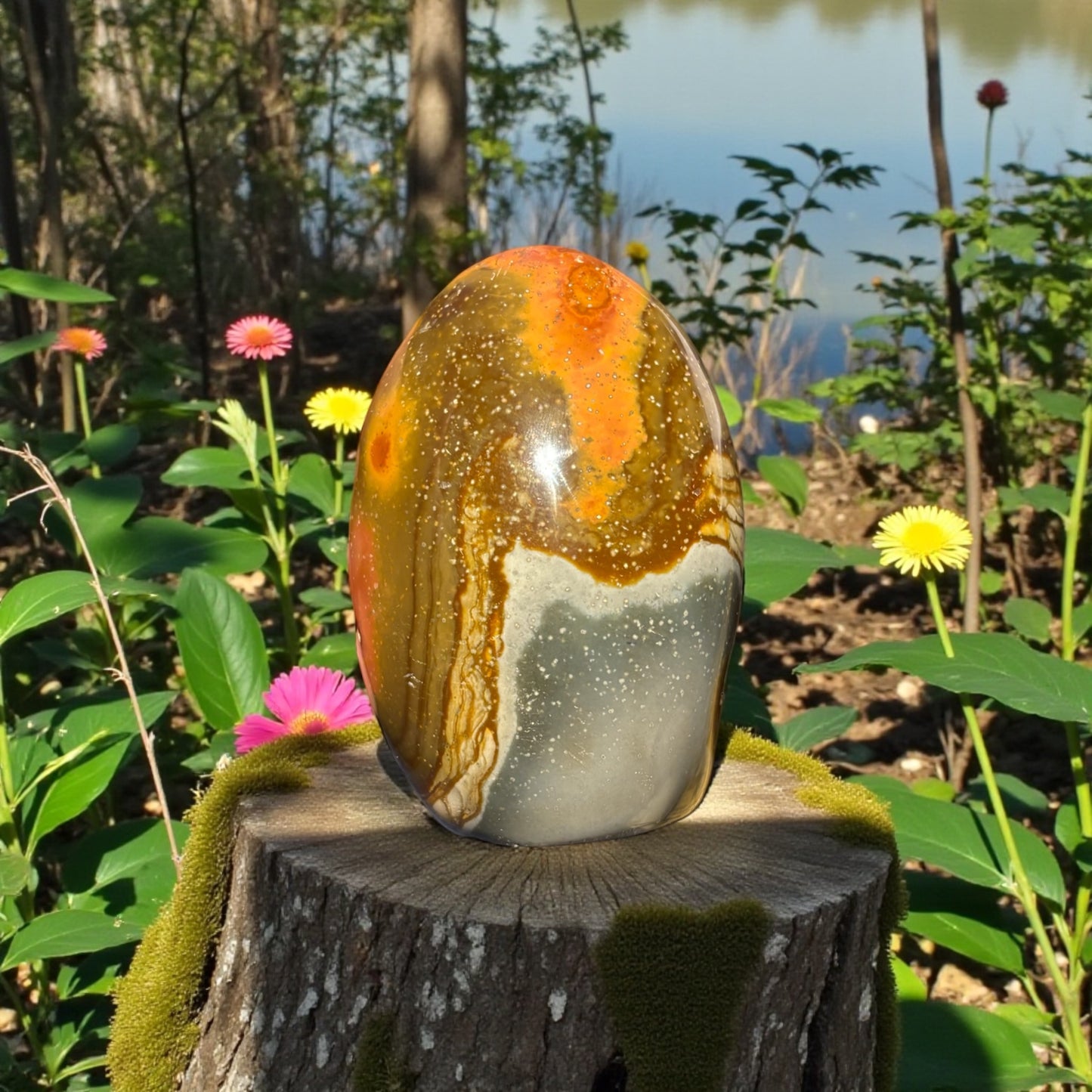 Forme libre Jaspe Polychrome de Madagascar