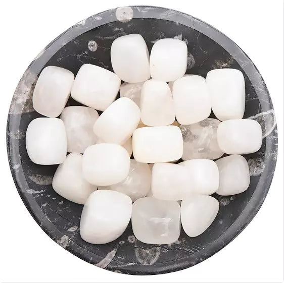 Pierre roulée Jade Blanc de Chine qualité A 20 À 40 MM